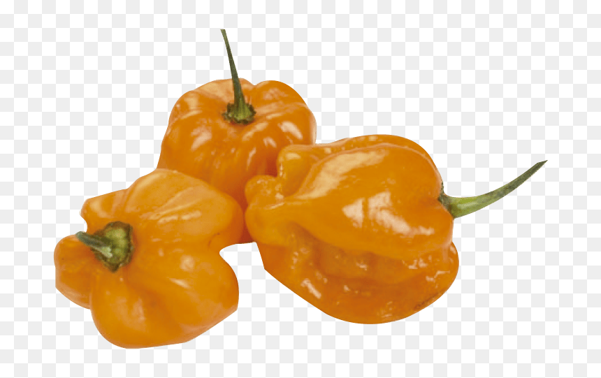 Habanero Peppers, HD Png Download - habanero png