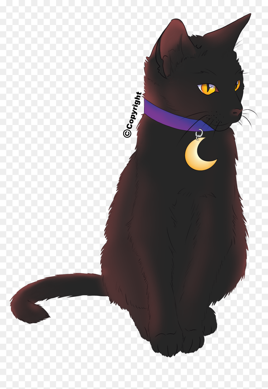Halloween Black Cat With Moon Collar - Moon Cat Collar, HD Png Download - halloween black cat png