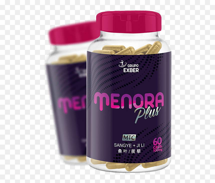 Menora Png, Transparent Png - menora png