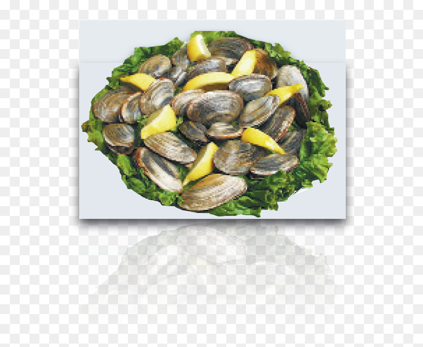 Steamed Clams - Mussel, HD Png Download - clams png