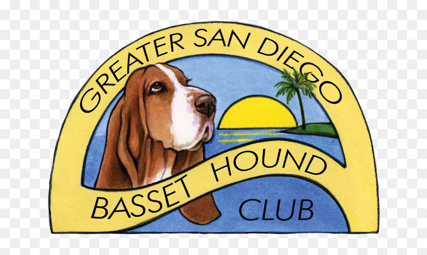Basset Hound, HD Png Download - basset hound png