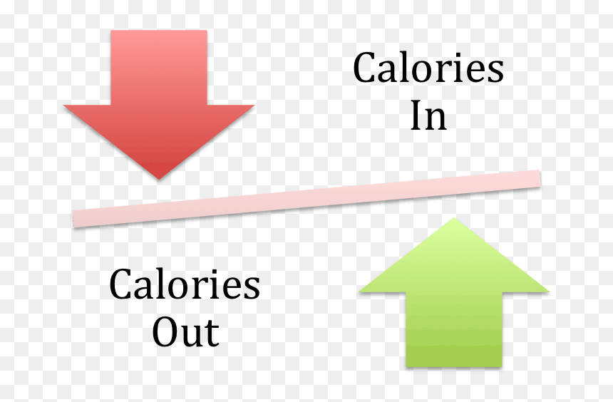 How Many Calories To Lose Weight - Cattell's Theory On Fluid And Crystallized Intelligence, HD Png Download - lose weight png