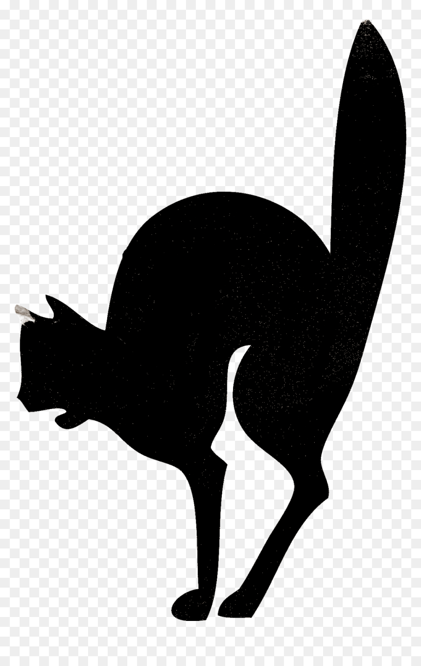 Transparent Halloween Black Cat Png - Jack-o'-lantern, Png Download - halloween black cat png