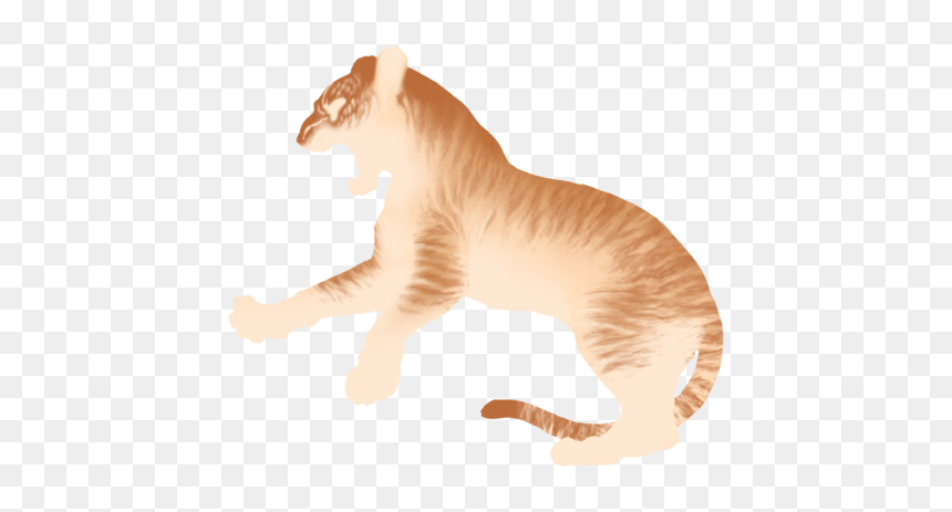 Siberian Tiger, HD Png Download - tiger scratch png