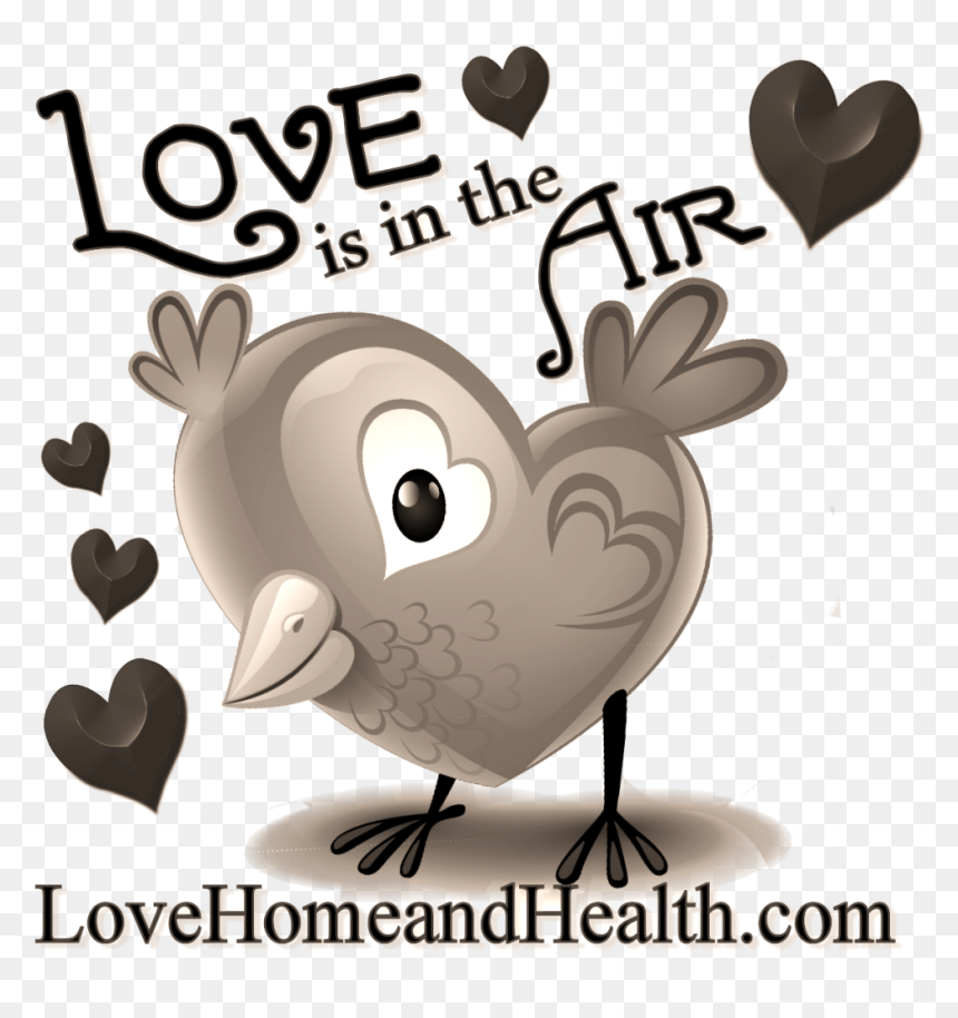 Love Quotes, Relationship Advice And More - Love, HD Png Download - love quotes png