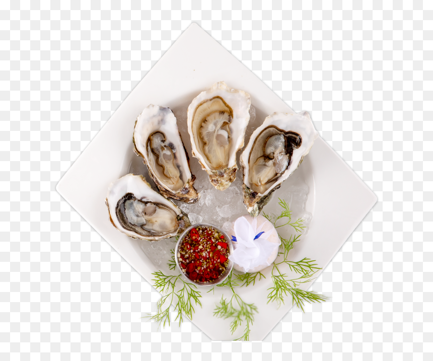 Dish Img1 1 - Tiostrea Chilensis, HD Png Download - clams png