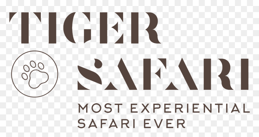 Tiger Safari - Graphic Design, HD Png Download - tiger scratch png