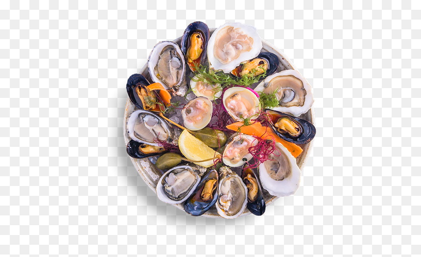 Tiostrea Chilensis, HD Png Download - clams png
