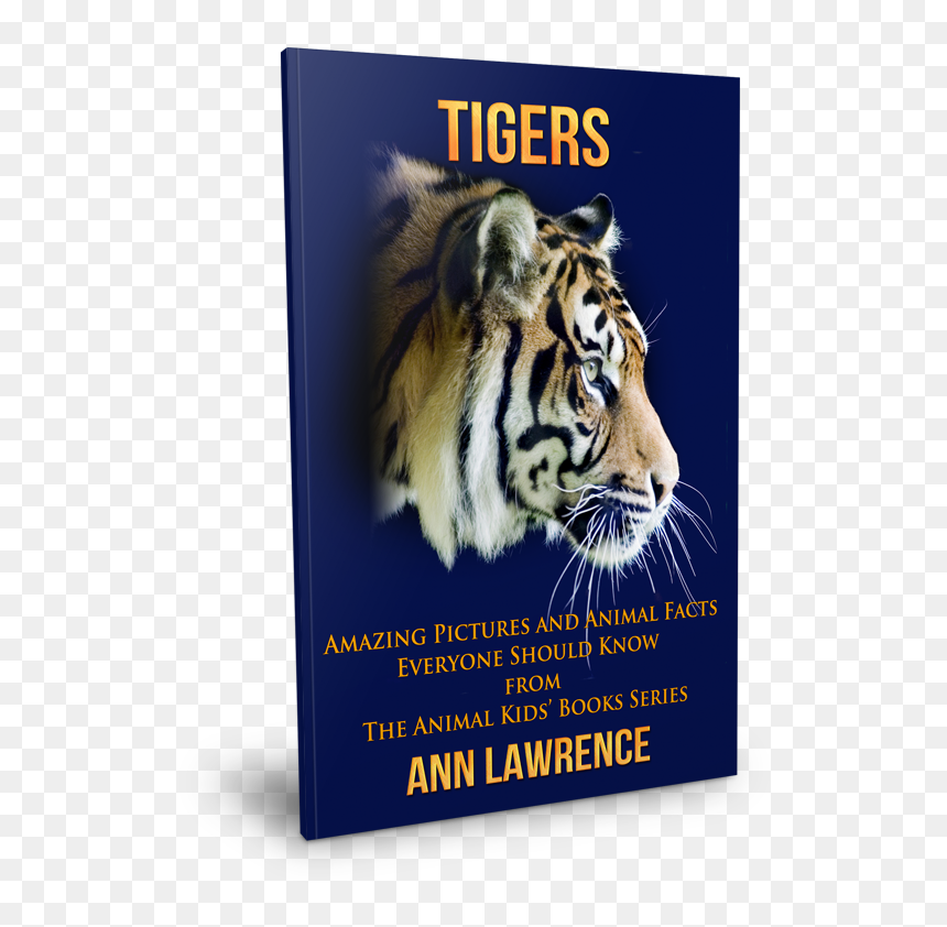 Siberian Tiger, HD Png Download - tiger scratch png