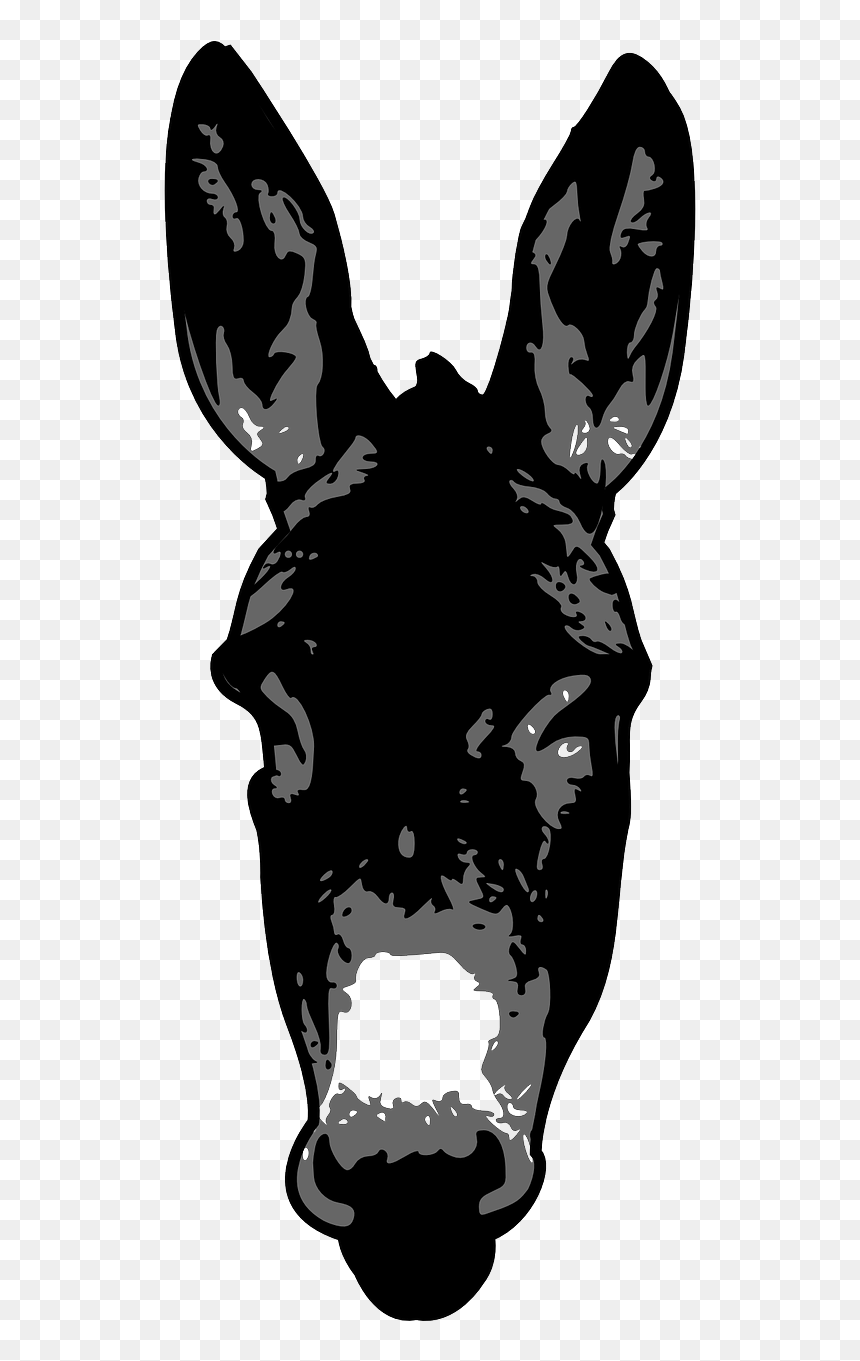 Donkey Head Silhouette, HD Png Download - burro png