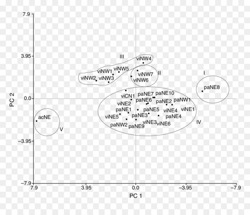 Diagram, HD Png Download - roman numeral 2 png