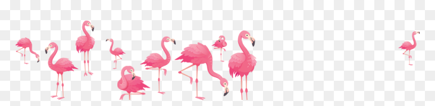 Greater Flamingo, HD Png Download - bird flock png