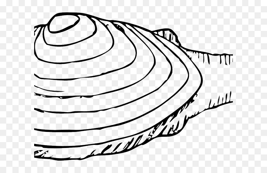 Transparent Clam Clipart - Clip Art Black And White Pikmin, HD Png Download - clams png
