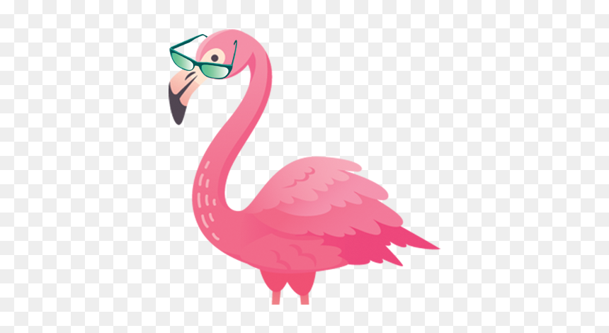 Greater Flamingo, HD Png Download - bird flock png