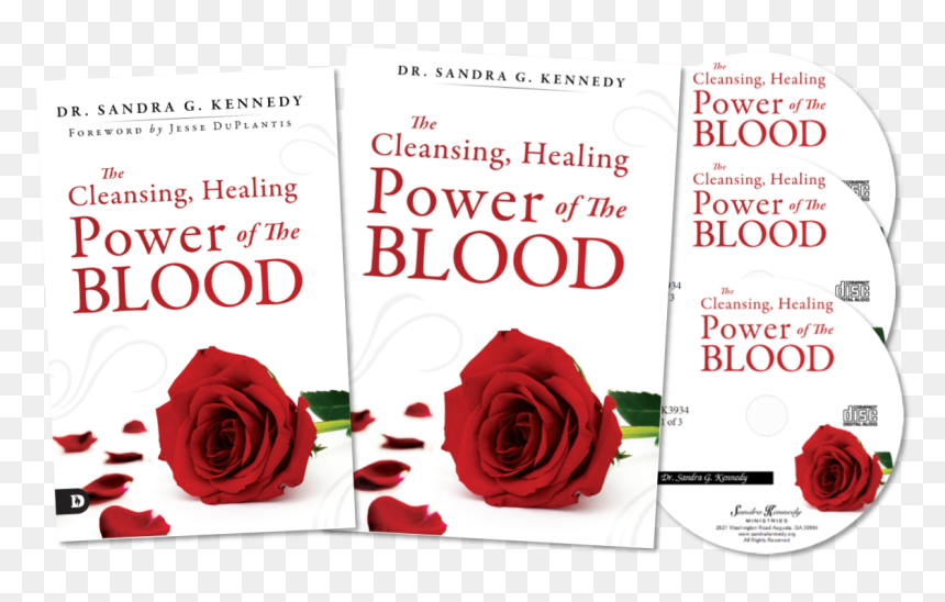 Garden Roses, HD Png Download - blood cut png