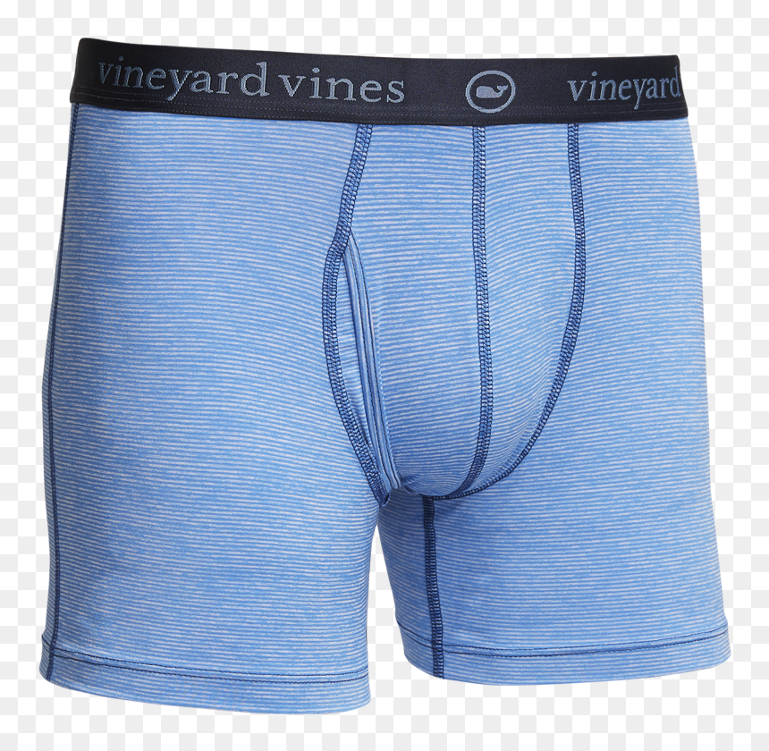 Sankaty Boxer Briefs - Board Short, HD Png Download - vineyard vines png