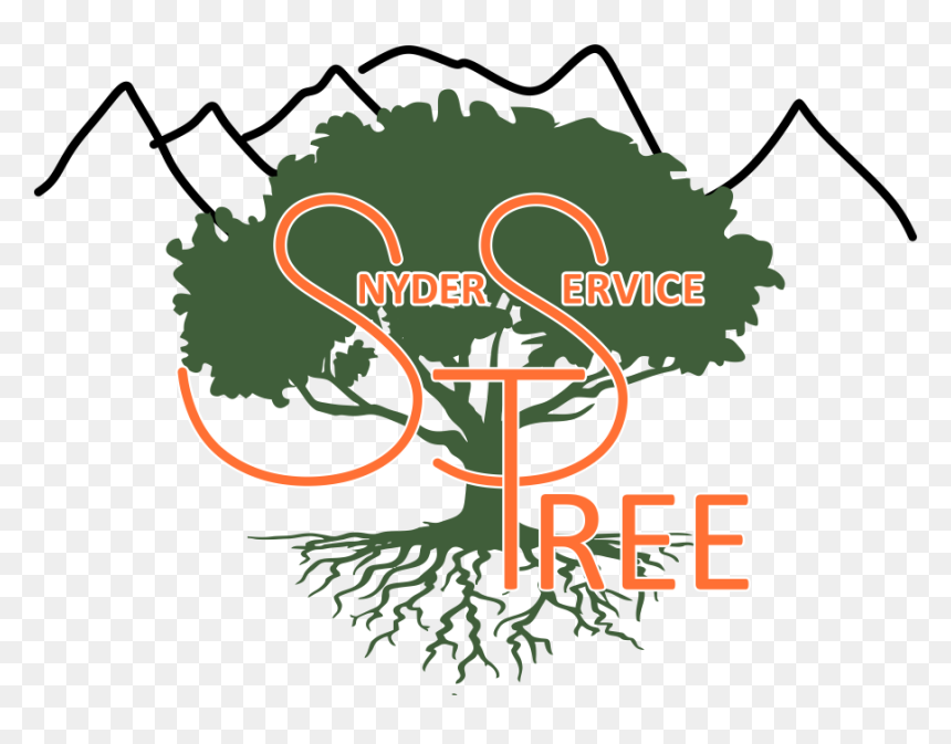 Family Reunion Tree With Roots Clipart , Png Download - Roots Of Tree Drawing, Transparent Png - family reunion png