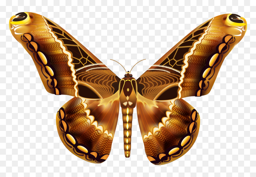 Small Brown Butterfly Clipart - Clip Art, HD Png Download - gold butterfly png