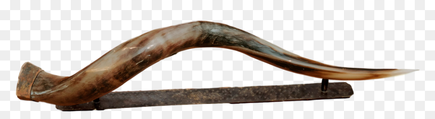 Plywood, HD Png Download - metal horns png