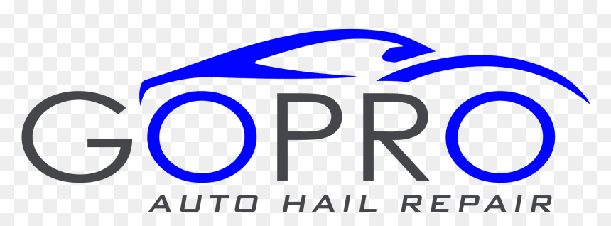 Circle, HD Png Download - go pro logo png