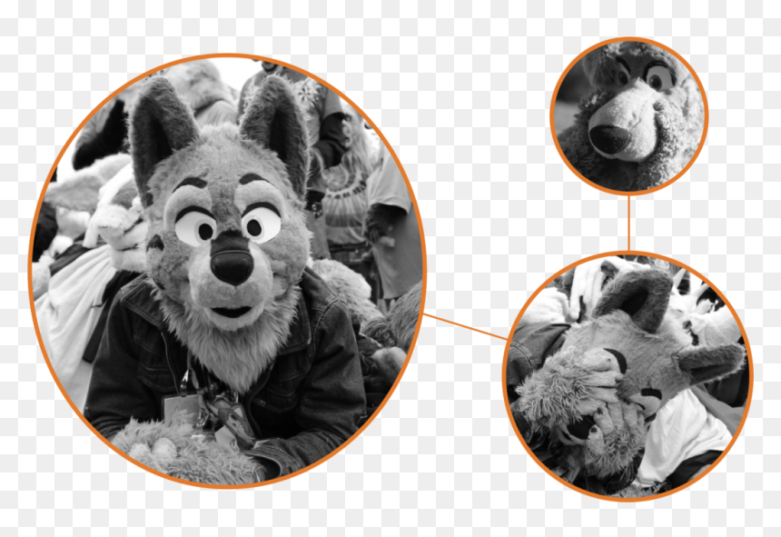 Furries Trio - Carnivore, HD Png Download - furries png
