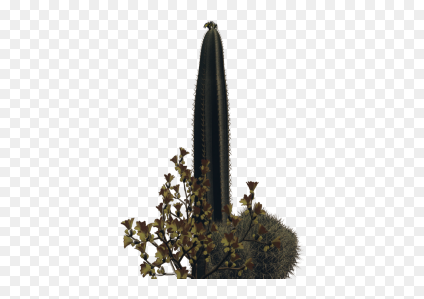 Plants In Desert Png, Transparent Png - desert cactus png