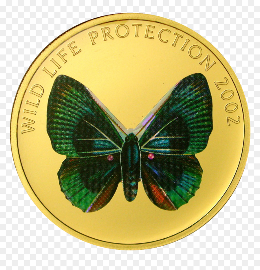 Limenitis, HD Png Download - gold butterfly png