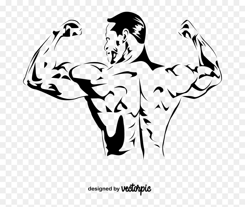 Illustration, HD Png Download - gym body png