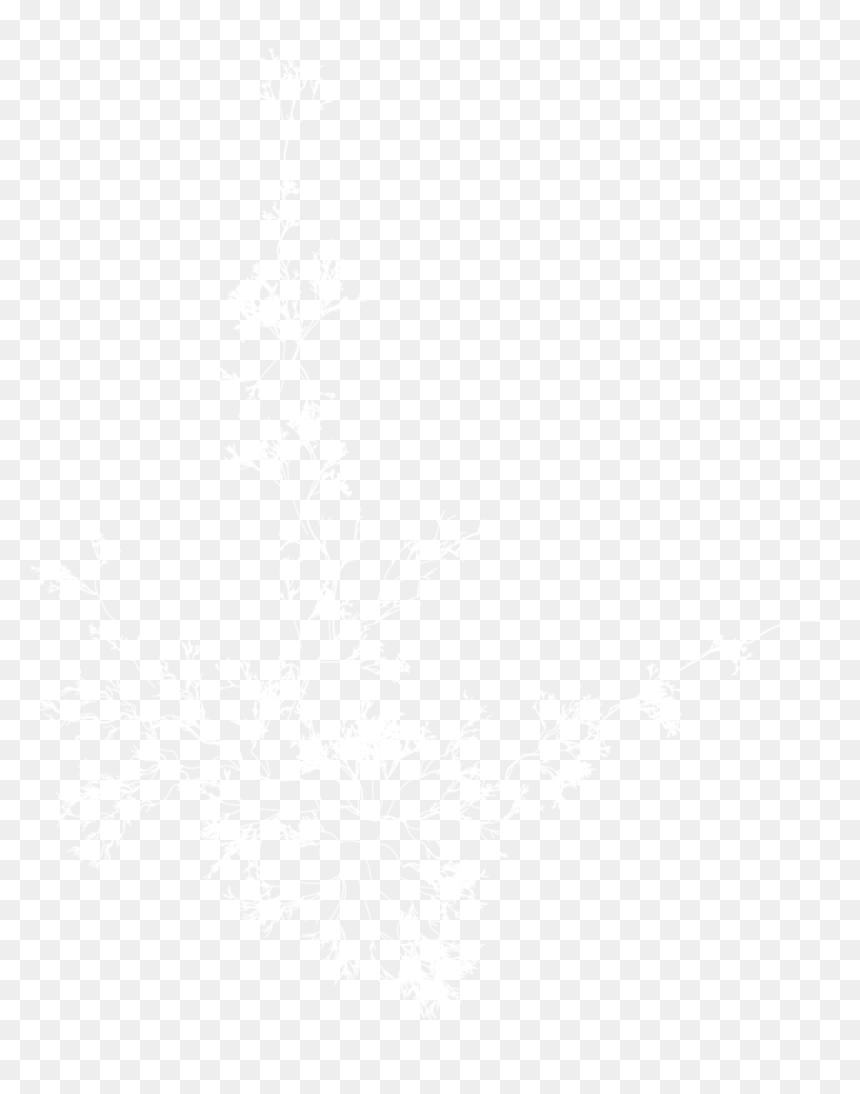 Johns Hopkins Logo White, HD Png Download - 2016 calender png