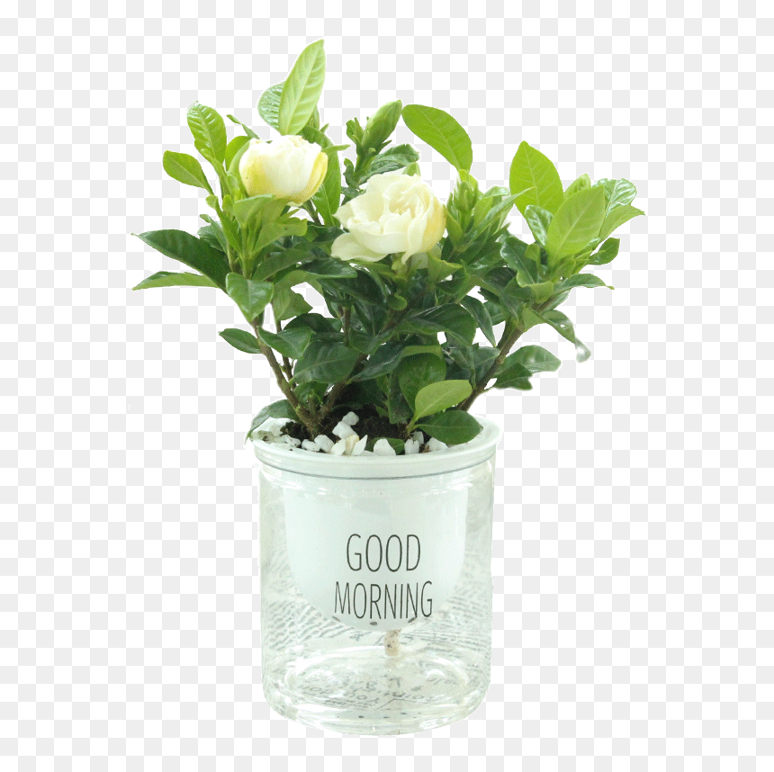 Flowerpot, HD Png Download - bamboo plants png