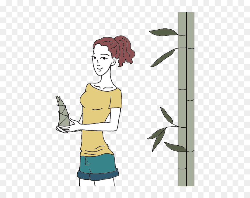 Isolated Bamboo Plants - Illustration, HD Png Download - bamboo plants png