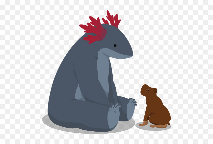 Bear Thing Capybara Hippo Thing Bear Axolotl - Illustration, HD Png Download - axolotl png