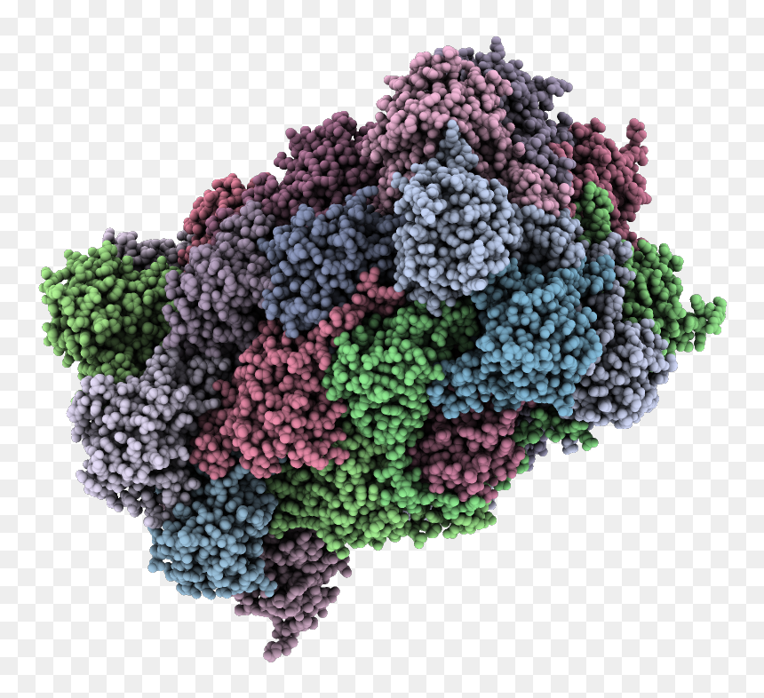 Proteasome No Background, HD Png Download - space core png