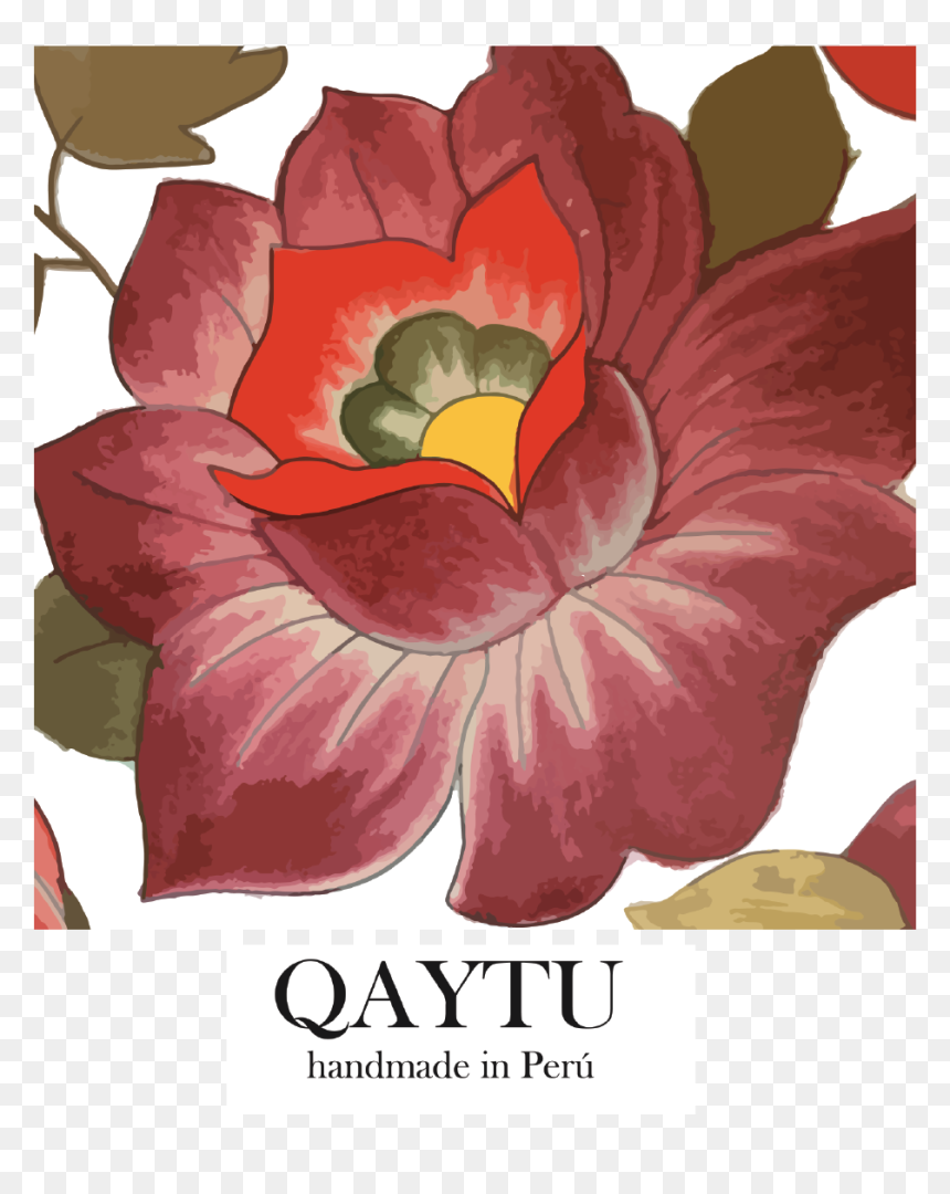 Japanese Camellia, HD Png Download - marca peru png