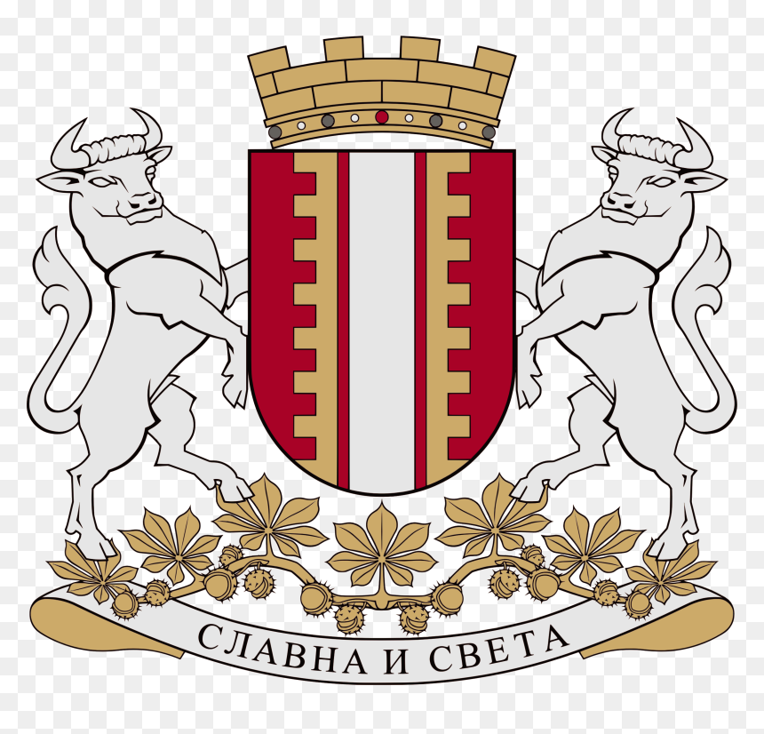 Coat Of Arms Of Banja Luka 2015 - Banja Luka, HD Png Download - luka png