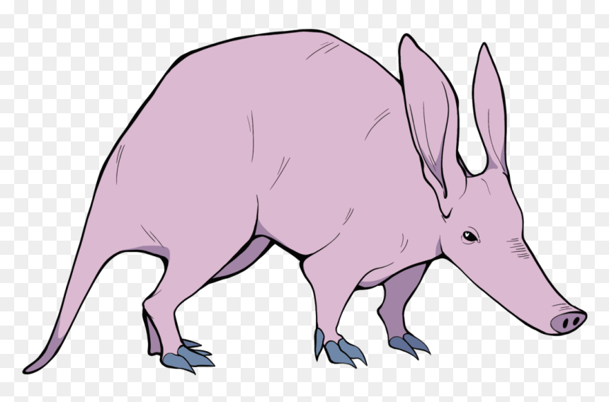 Image - Aardvark, HD Png Download - aardvark png
