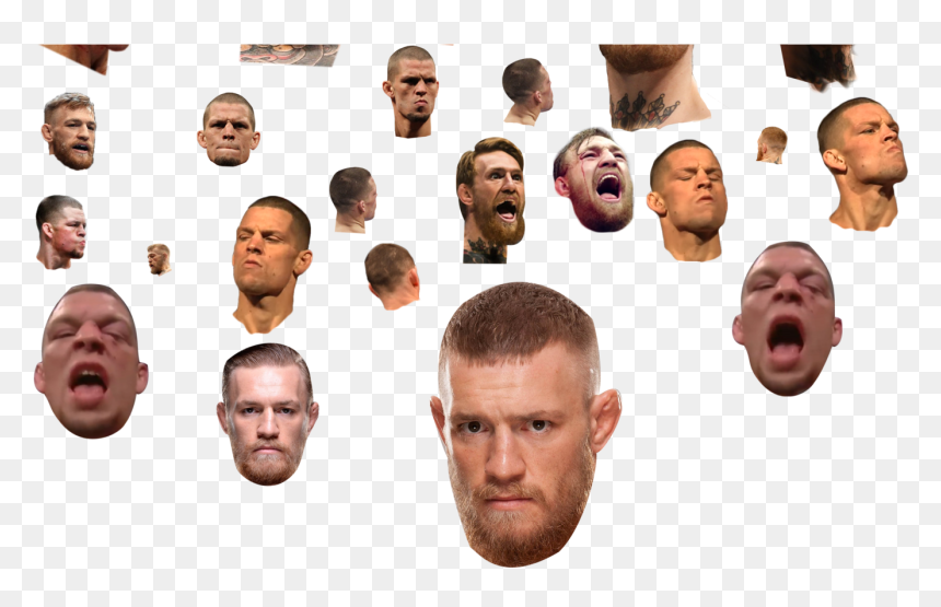 Gentleman, HD Png Download - conor mcgregor face png