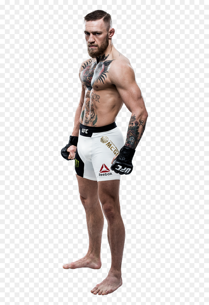 Fighter2 - Lastname - Conor Mcgregor Full Body, HD Png Download - conor mcgregor face png