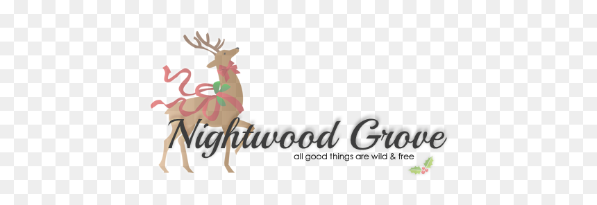 Christmas Reindeer Clipart, HD Png Download - phoebe tonkin png tumblr