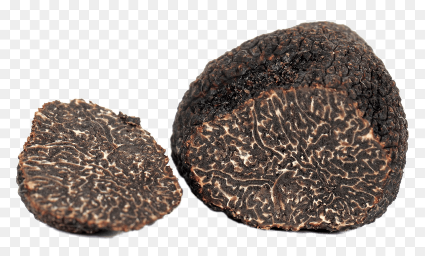 Sliced Truffle - French Perigord Black Truffle, HD Png Download - truffle png