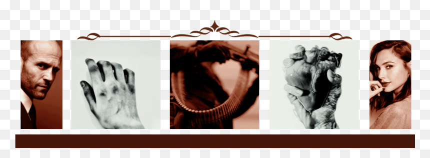 Visual Arts, HD Png Download - phoebe tonkin png tumblr