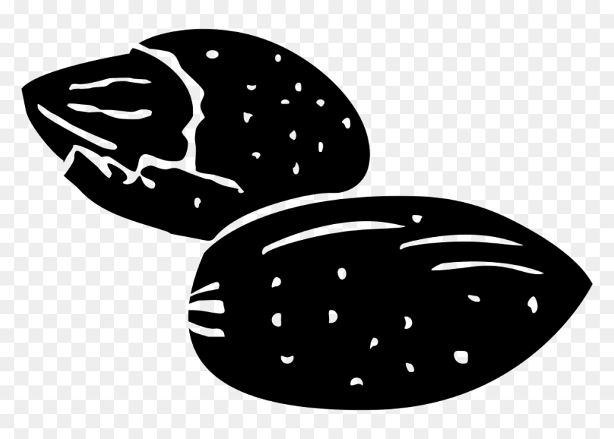 Pecan - Portable Network Graphics, HD Png Download - pecan png