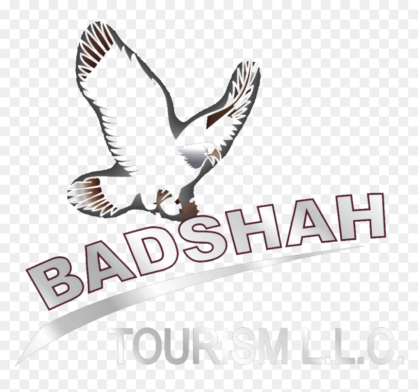 Red-tailed Hawk, HD Png Download - badshah png