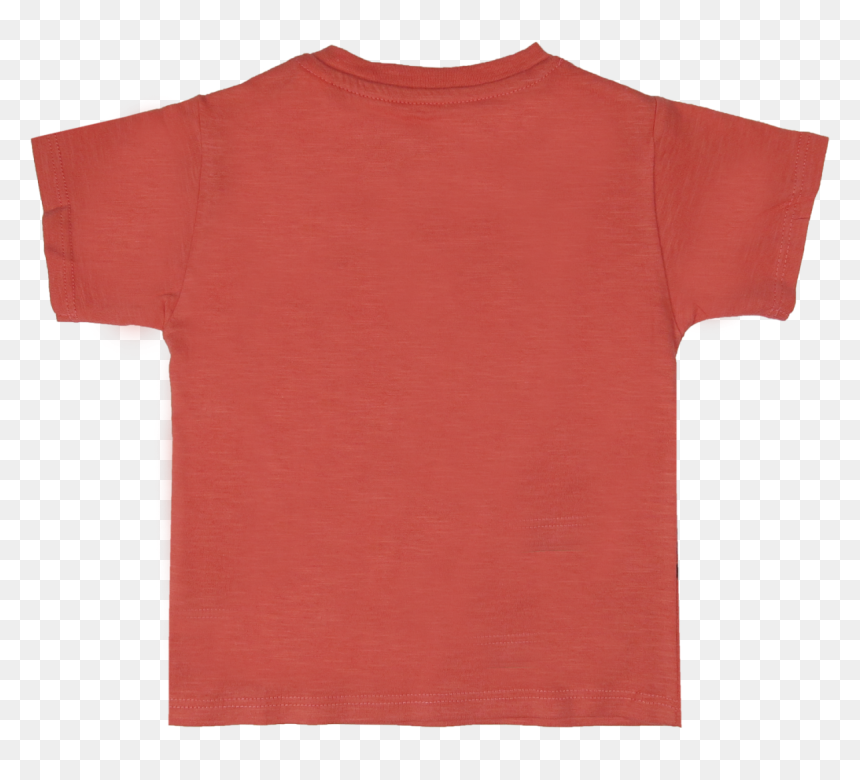 Active Shirt, HD Png Download - aardvark png