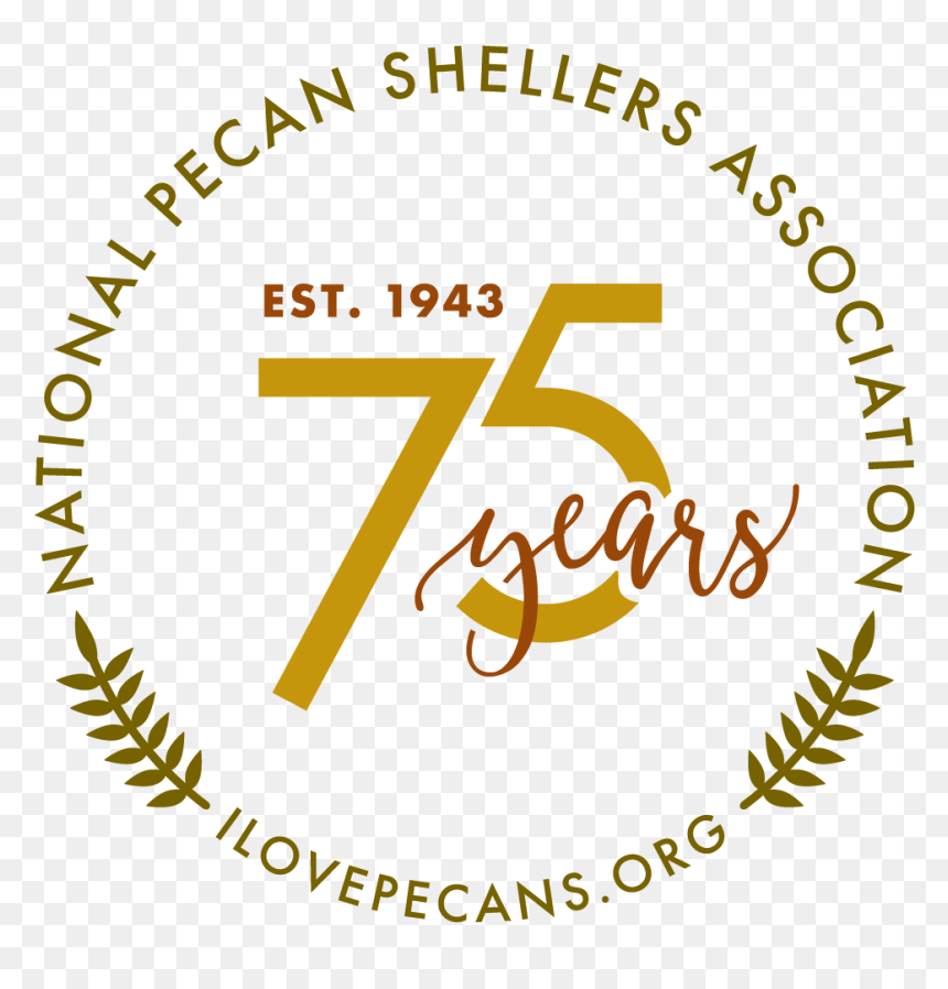 Circle, HD Png Download - pecan png