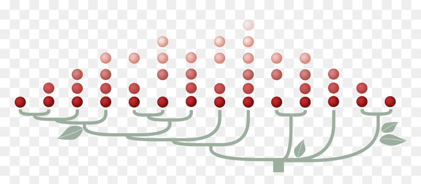 Circle, HD Png Download - red circle with slash png