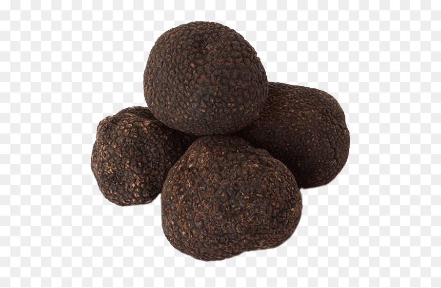 Truffle Price In The Philippines, HD Png Download - truffle png