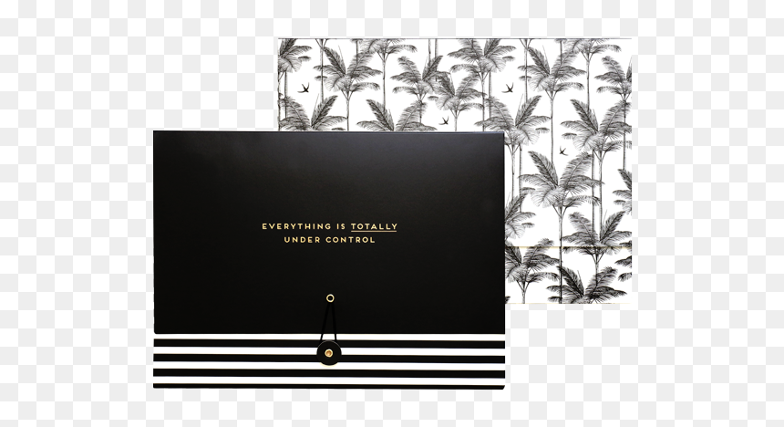 Alice Scott Erasure"
 Title="alice Scott Erasure - Alice Scott Document Wallets, HD Png Download - wallets png