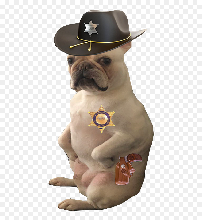 Toy Bulldog, HD Png Download - what in tarnation hat png
