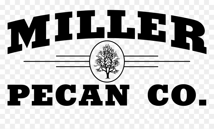 Circle, HD Png Download - pecan png